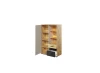100.webp