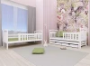 Viki-rozłożona.webp