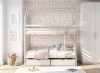 ALEX-ara-baw-1.webp