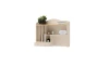 38.webp